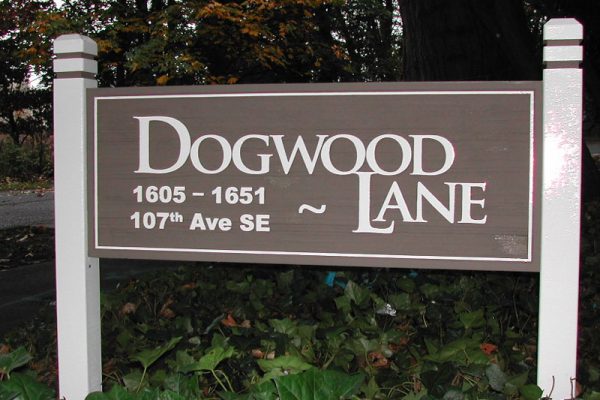 dogwood lane after